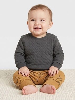 Cat & Jack Baby Boys' Quilted Sweatshirt & Dinosaur Jogger Set